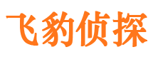 龙门找人公司